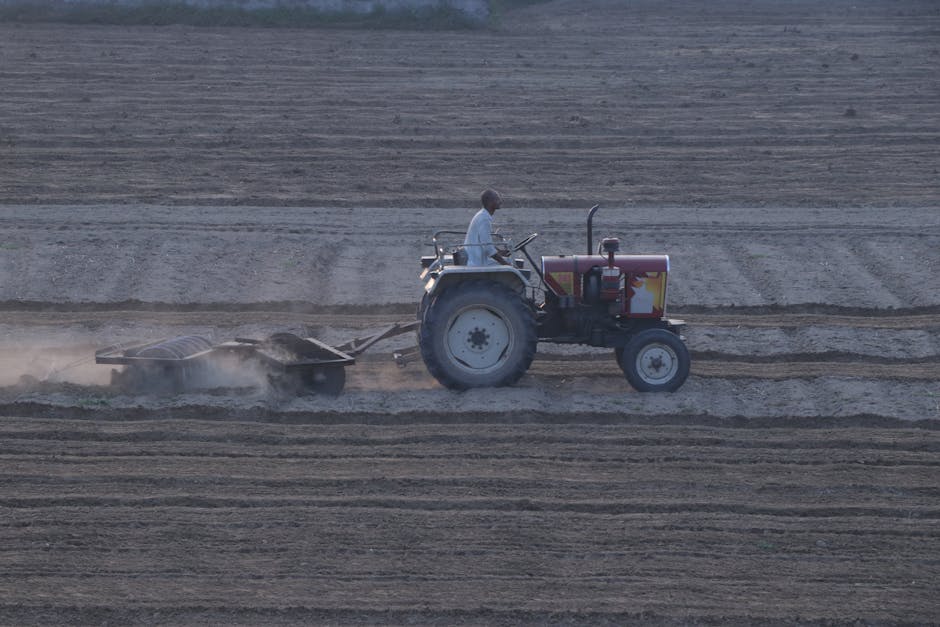 A person operating a tractor equipped with a tiller attachment on a large, flat, sandy field during daytime. The tractor is painted in light colors with visible wheels and controls, while the field shows evenly plowed, dry soil with parallel furrows. The scene is illuminated by natural daylight, and the background features distant patches of grass and open land, indicating an agricultural setting. This image illustrates surface preparation and soil tilling process consistent with industrial or deep cleaning activities, as promoted by Harrow Carpet Cleaning for effective sanitisation and maintenance.
