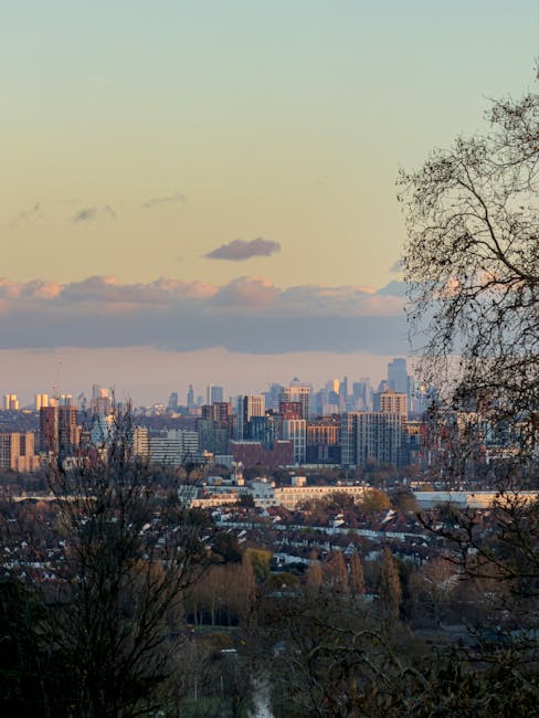A panoramic view of a city skyline seen from a residential area during sunset, featuring a mix of modern high-rise buildings and shorter traditional structures. In the foreground, leafless trees and rooftops covered with snow are visible, with the warm glow of the setting sun casting a soft light over the scene. The sky displays shades of pale blue, pink, and orange, with scattered clouds adding to the atmospheric effect. This outdoor scene emphasizes broad vistas, urban landscape, and seasonal ambiance, illustrating an expansive cityscape with natural framing elements.